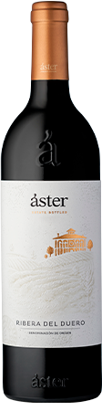 Aster Reserva 2021, Áster