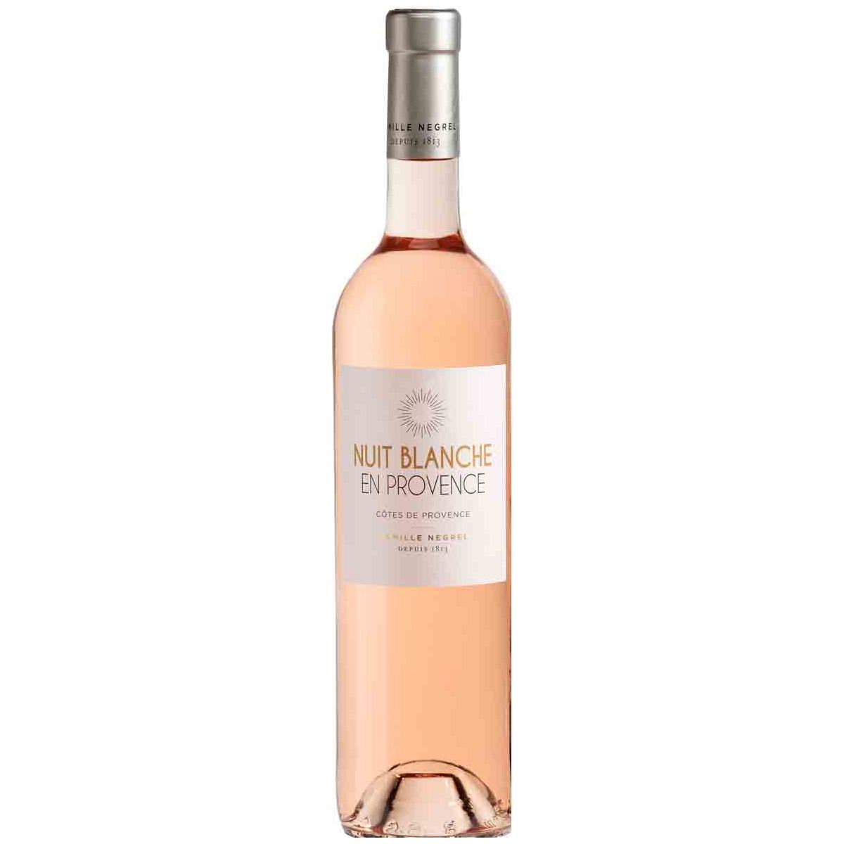 Negrel 'Nuit Blanche' rose 2024 - magnum