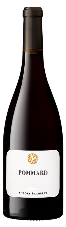 Pommard 2022, Aurore Bachelet